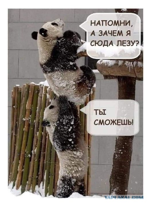 Деградируем и подпеваем - v. 2,0