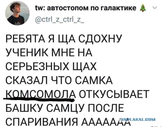 Картинок ублюдских несколько