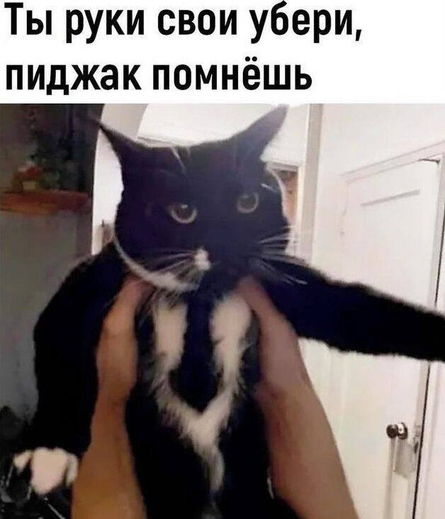 Подборка мемчиков за пол дня