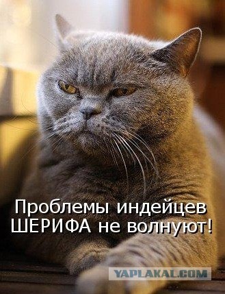 Трамп выступил с угрозой в адрес премьера Гренландии Нильсена
