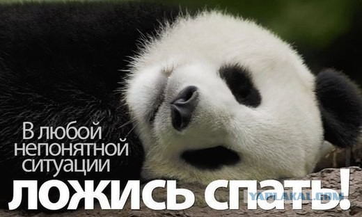 http://s00.yaplakal.com/pics/pics_original/2/4/4/2678442.jpg