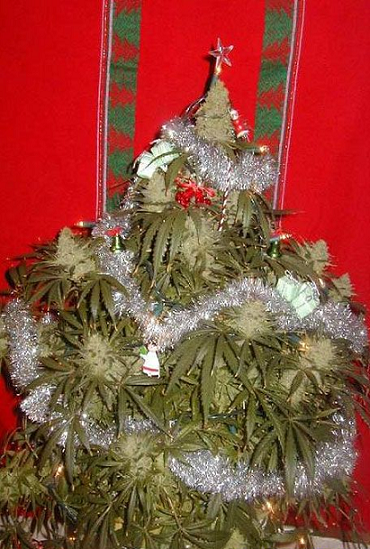 Домашний комп.