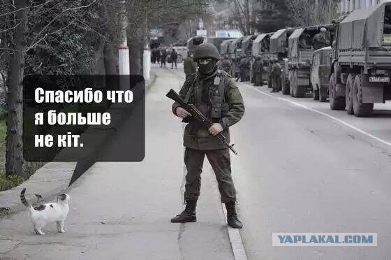Свободу коту!