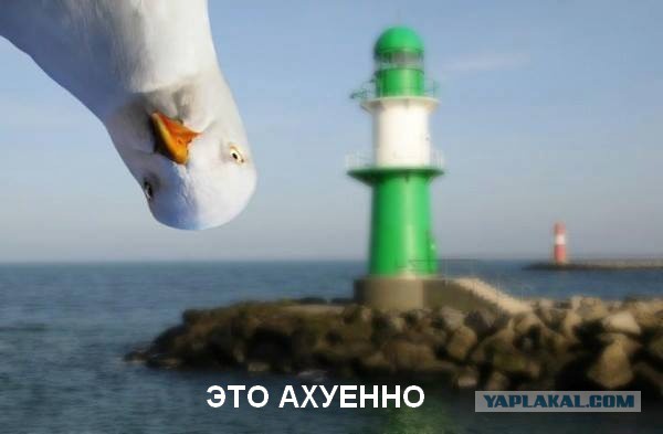 Слава Украине!
