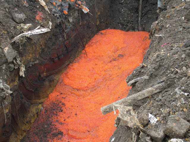 Как сгорает тонна красной икры