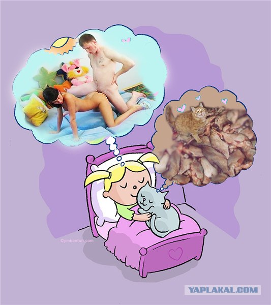 О чем мечтают котики