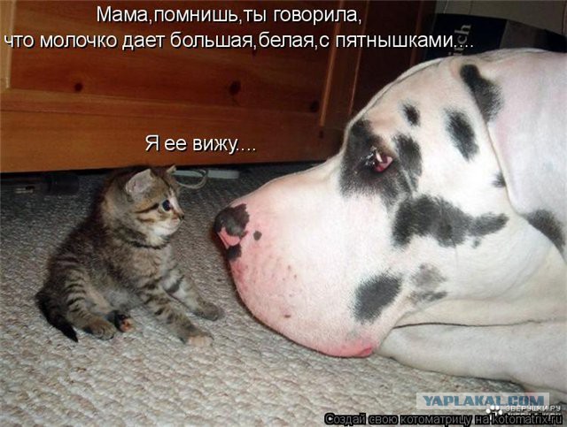 Поднимаем настроение