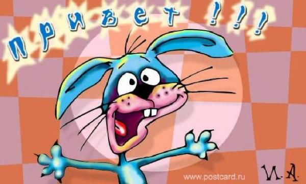 Плюсомет со шпалометом