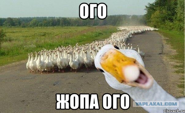 Девушка одна, одежда разная