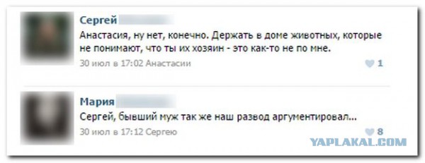 Смешные комментарии из социальных сетей