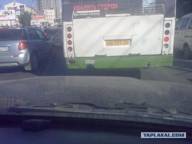 Надписи на авто.