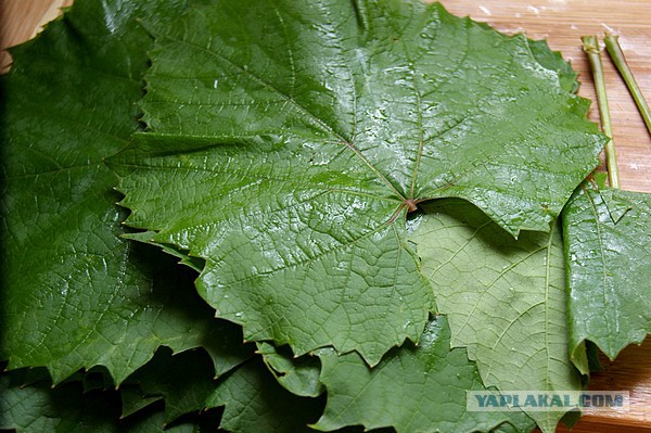 Шведский стол для Ати, Кулинары поздравляют