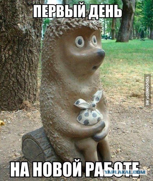 Когда устроился на новую работу