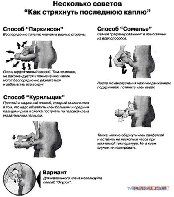 Как правильно дрочить инструкция