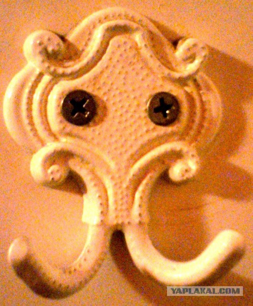 Они живые. Они смотрят на нас!