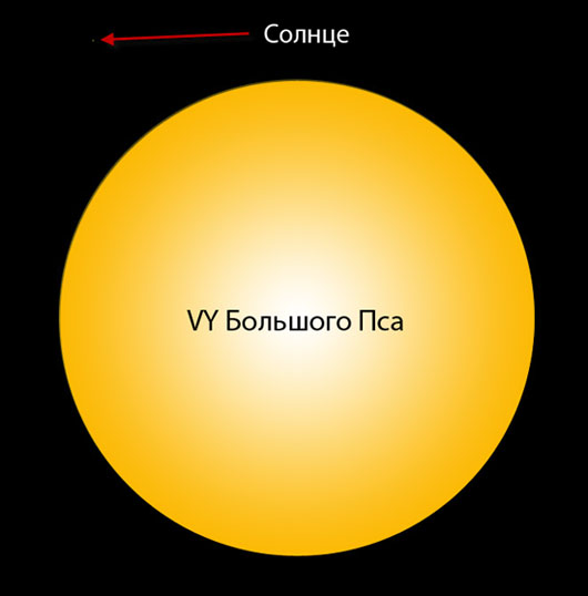 Vy большого пса. Планета vy большого пса. Звезда vy большого пса и солнце. Vy большого пса и Бетельгейзе. Самая большая звезда.