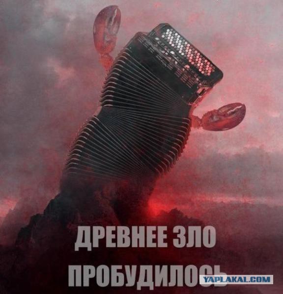 Хитрожопые хачи доигрались