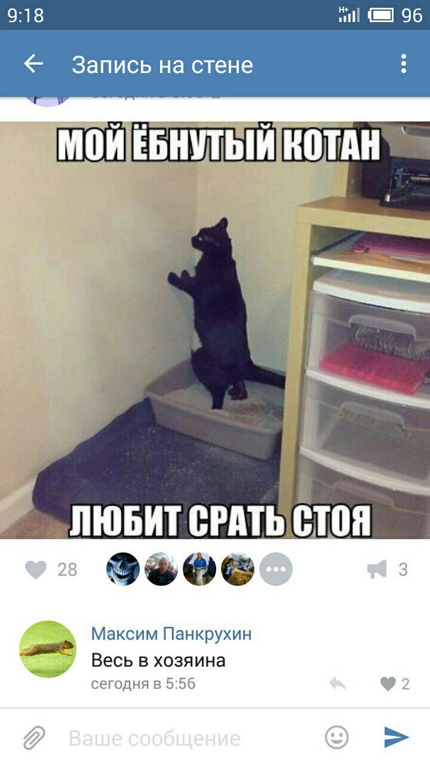 Ужасы и приколы из соцсетей 18+