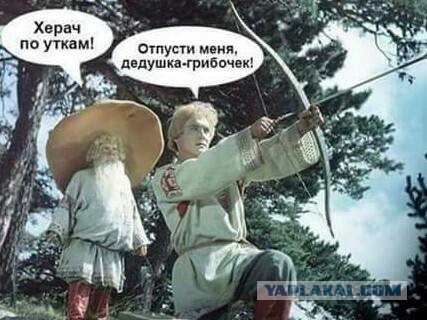 Пост 5 - 54. Карикатурный