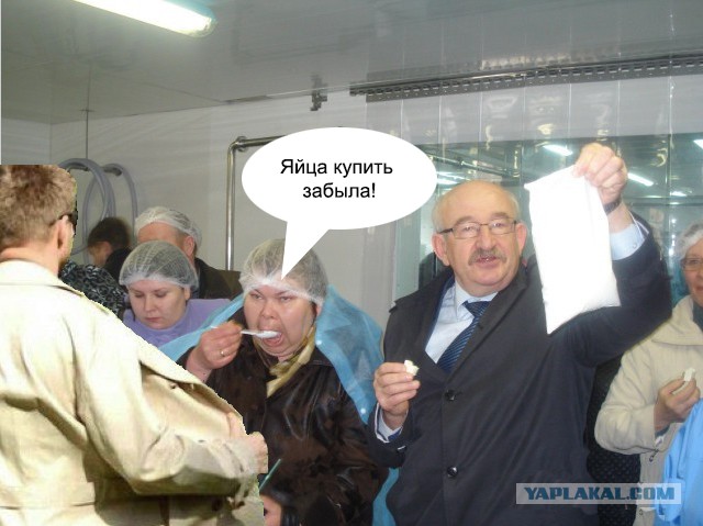 Дегустация непонятно чего