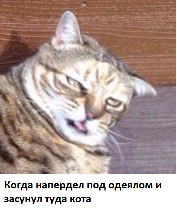 Как я обычно получаюсь на фото