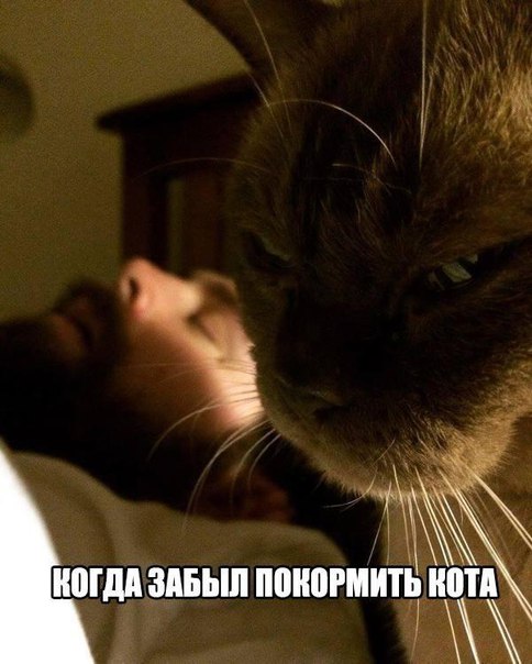 Подборка интересных и веселых картинок