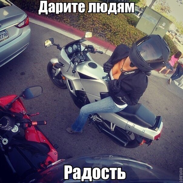 Подборка безудержного веселья
