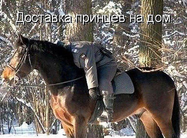 Полчаса мизантропии и интроверсии