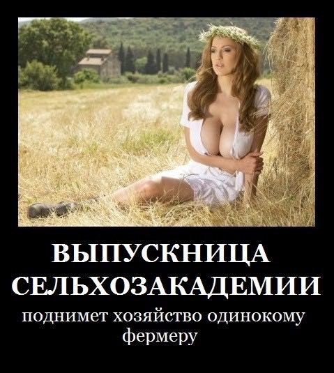 Чутка Демотиваторов на ПН