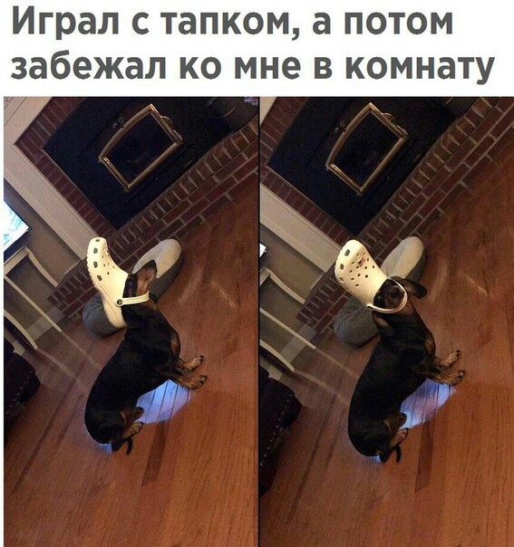 Смешные комментарии из социальных сетей 03.11.2017