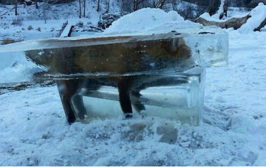 Ой, мороз, мороз..