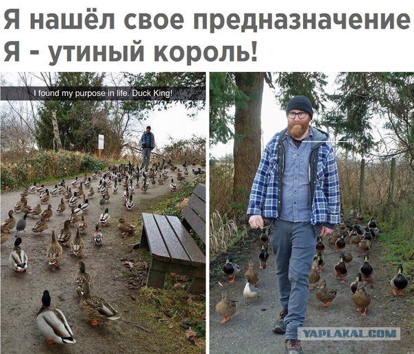 Неудавшиеся свидания с разницой в 20-ть лет.