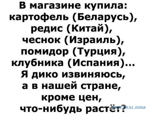Чего мы добились за 2017 год