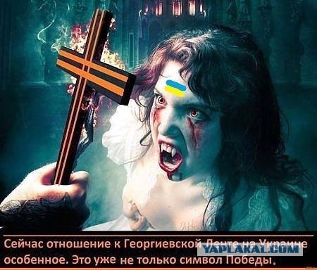 Они плевали на Родину, на День Победы и на отдавших кровь за нашу жизнь!