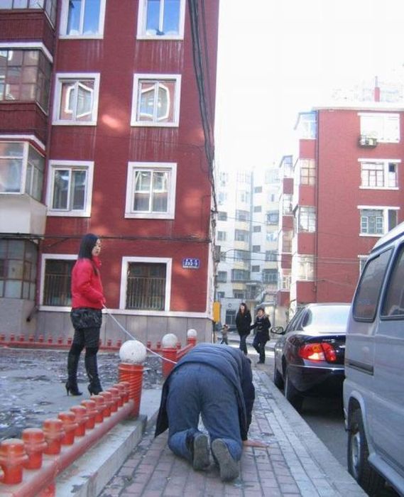 Чудики из социальных сетей