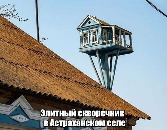 Нестандартный юмор