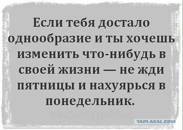 Немного картинок в этот понедельник