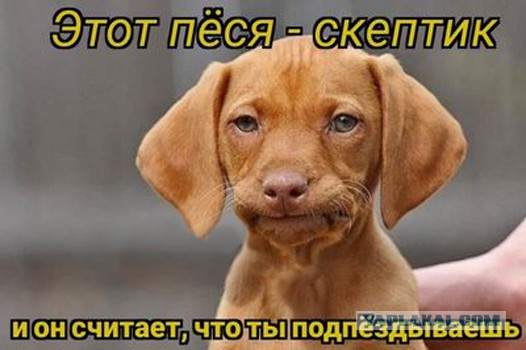 Рецепты выживания за чертой бедности