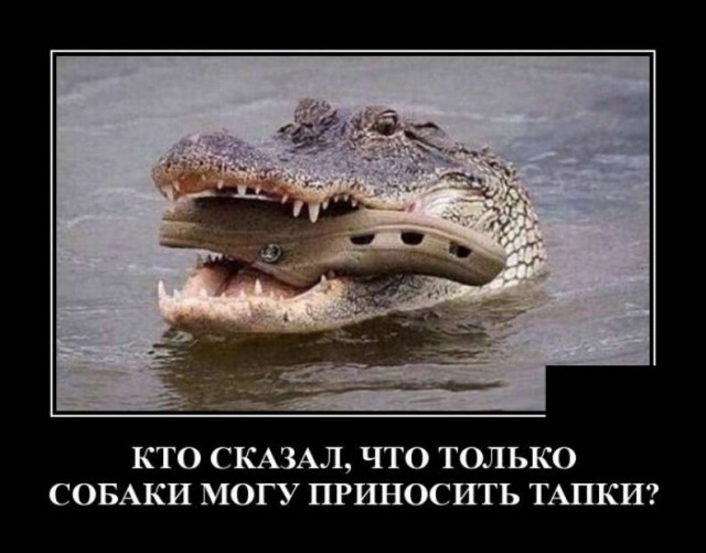 Шли по полю алкаши, или покорми меня гвоздиками, девочка с крыжовником