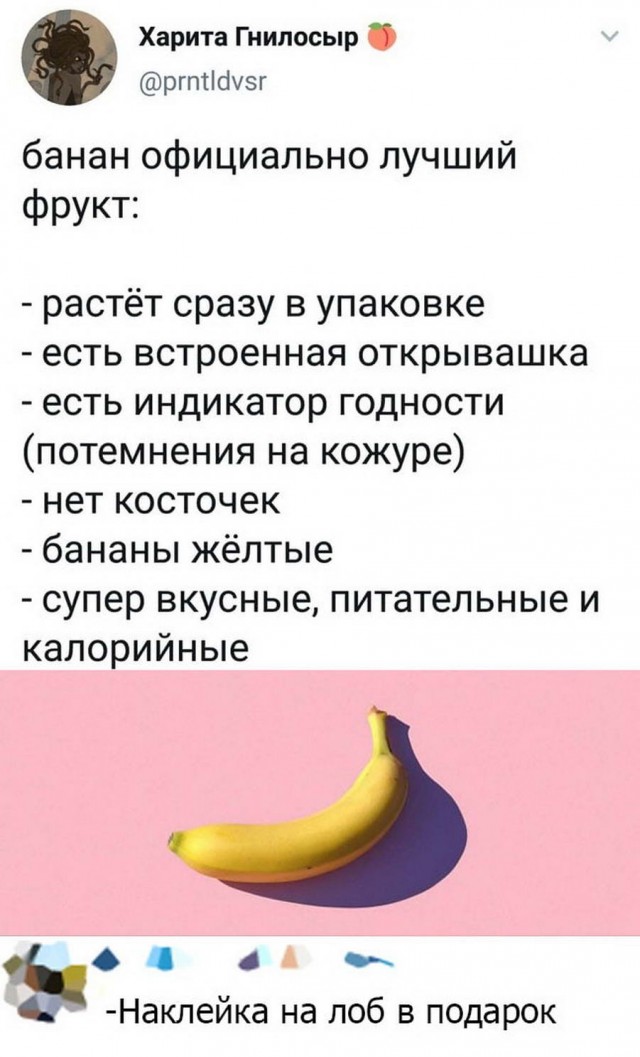 Пикчерз (Картинкас) Лучшая самка и парк весёлых приключений!