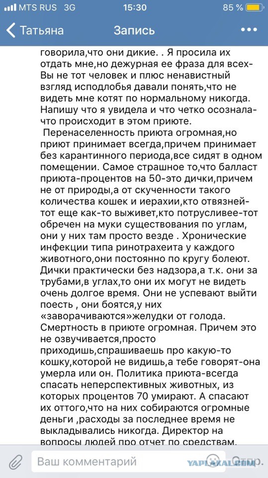 Помогите вернуть кота! Приют "Преданное сердце" украл кота и не отдает!