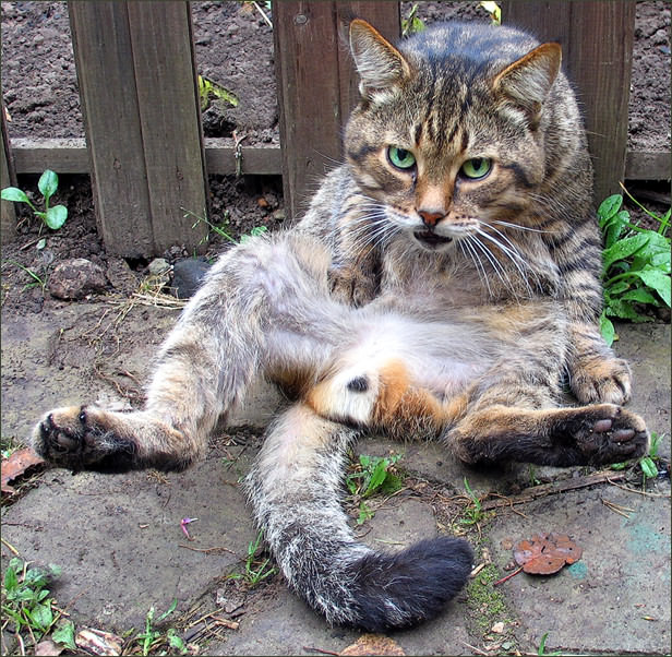 Люди, которые живут для других