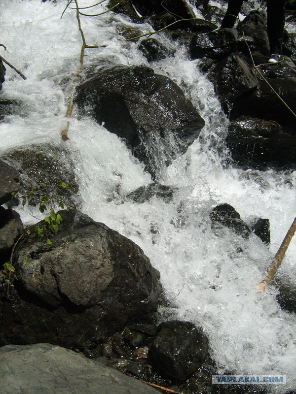 Абхазия (49 фото)