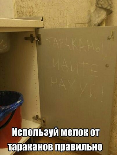 Немного картинок для настроения 11.02.20