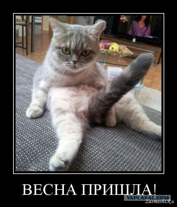 Кто последний?