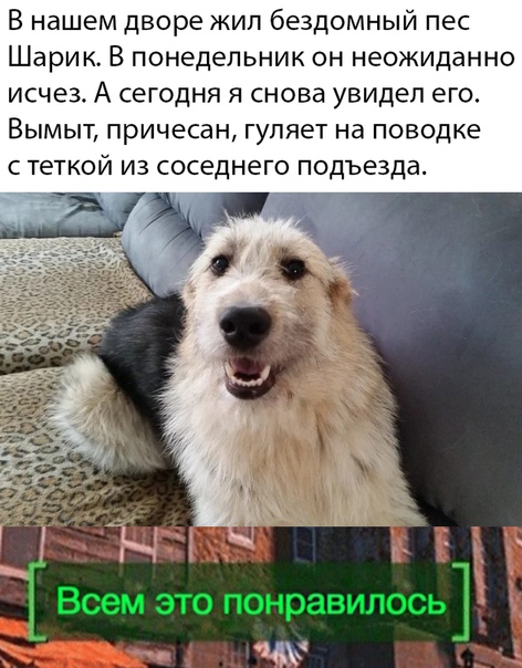 Картинки с надписями и без