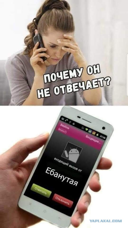 Ударим баянистыми картинками по серости самоизоляции!