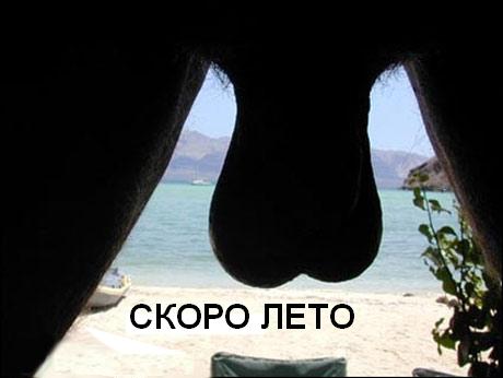 Фотожаба: Скоро лето 2008 !