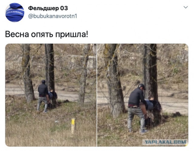 Весна Опять Пришла И Лучики Тепла Картинки