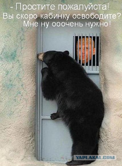 Фотожаба: Свидетель из Фрязино